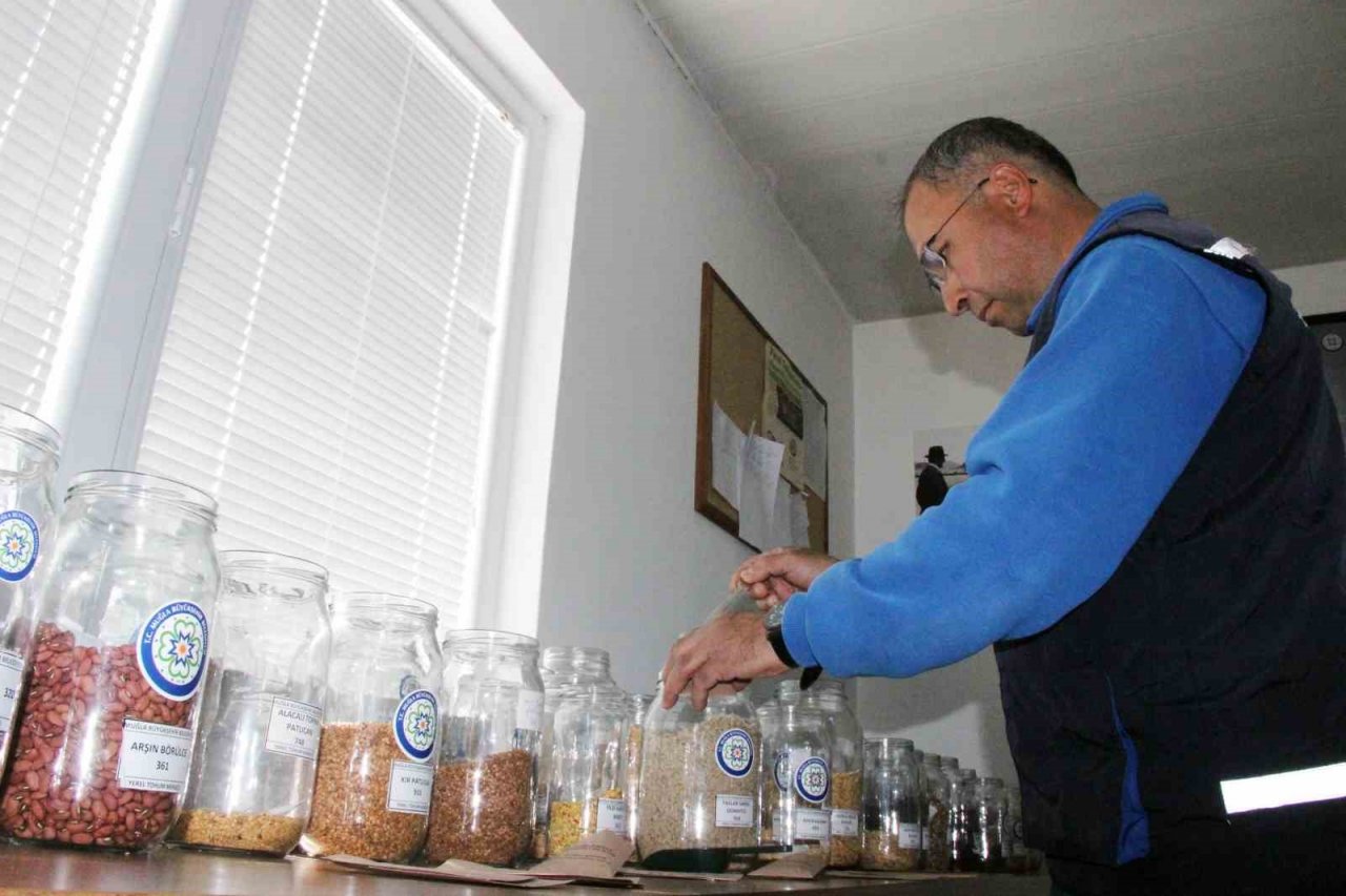 Türkiye’nin ata tohum merkezi