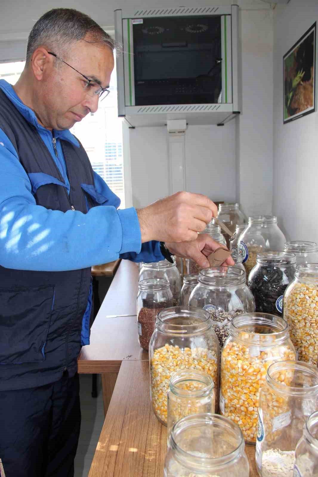 Türkiye’nin ata tohum merkezi