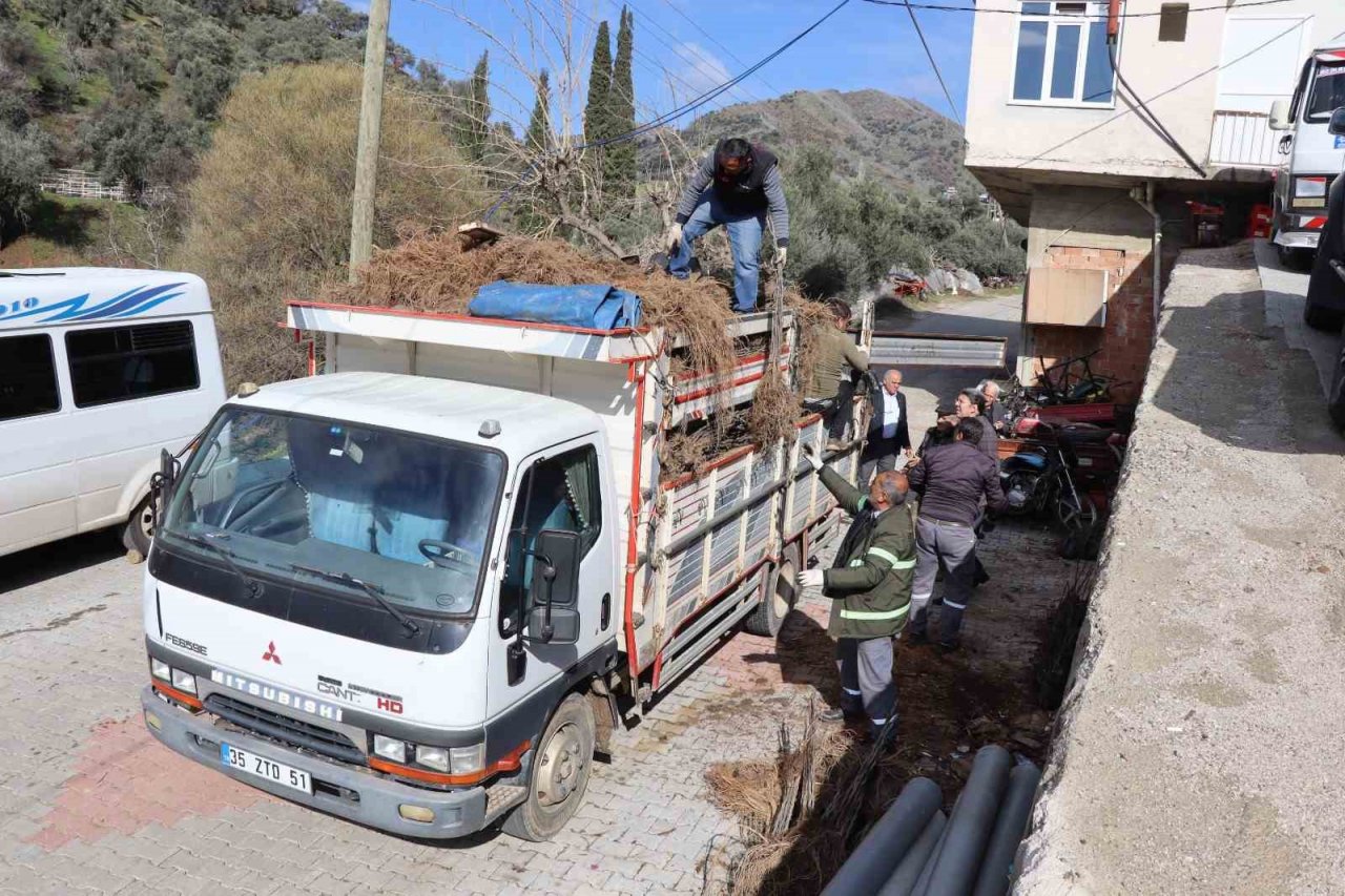 Nazilli’de 30 bin incir fidanı toprakla buluşuyor