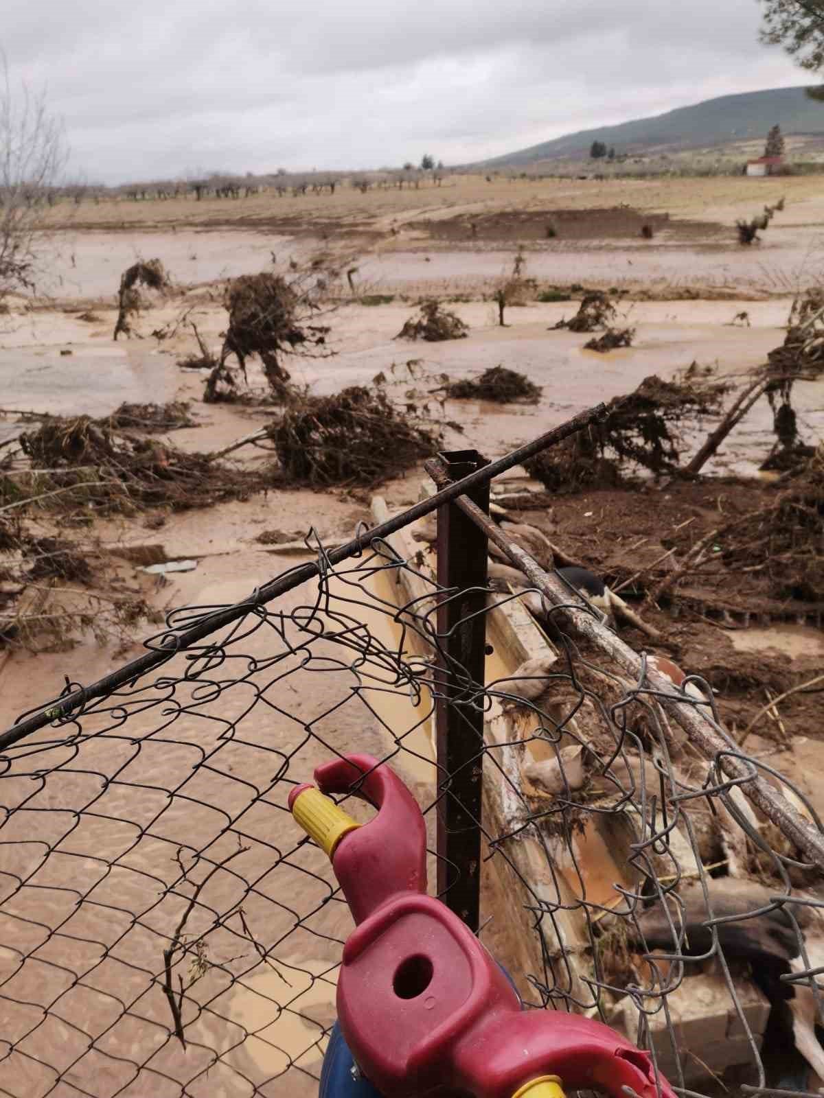 Şanlıurfa’daki sel felaketinde 8 büyükbaş hayvan telef oldu