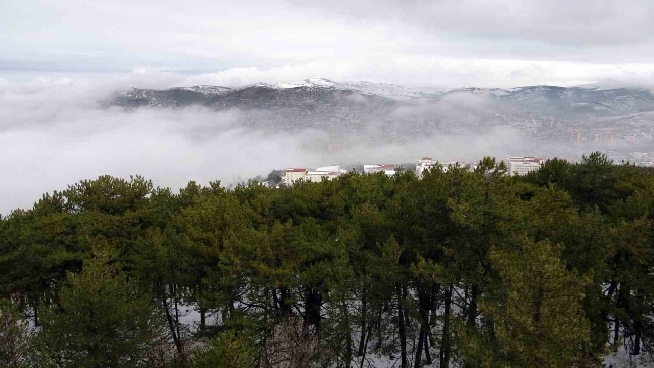 Yozgat’ta yoğun sis etkili oldu