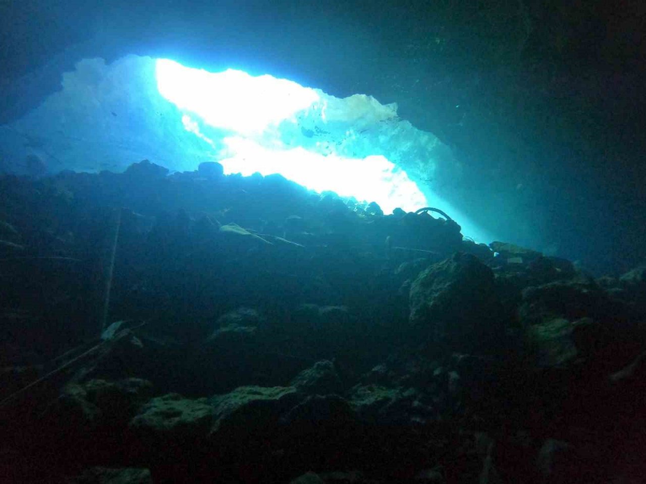 Antalya’nın göbeğinde 35 metre derinlikteki obrukta çok sayıda tatlı su canlısı tespit edildi