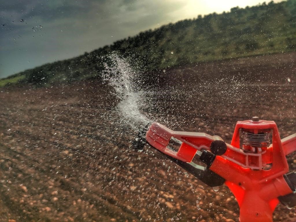 Tarım uzmanı uyardı: "Fazla sulama insan ve hayvan sağlığına zarar verebilir"