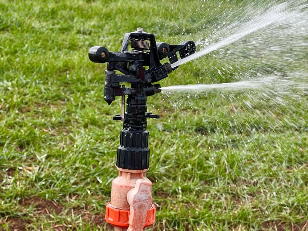 Tarım uzmanı uyardı: "Fazla sulama insan ve hayvan sağlığına zarar verebilir"