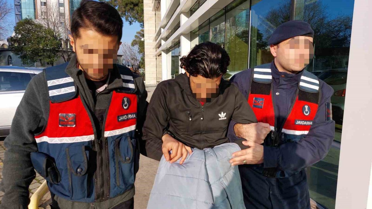 DEAŞ terör örgütü üyesi tutuklandı