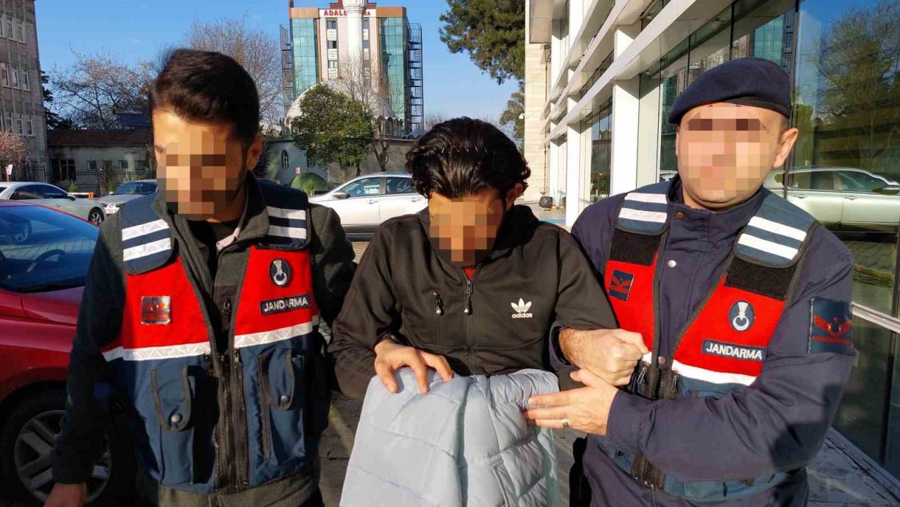 DEAŞ terör örgütü üyesi tutuklandı