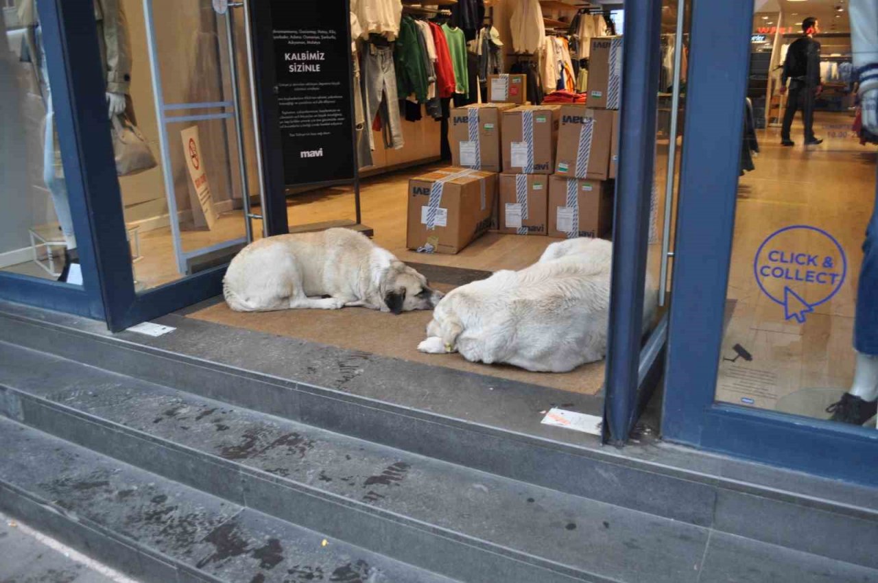 Yağmurdan kaçan vatandaşlar sığınacak yer aradı