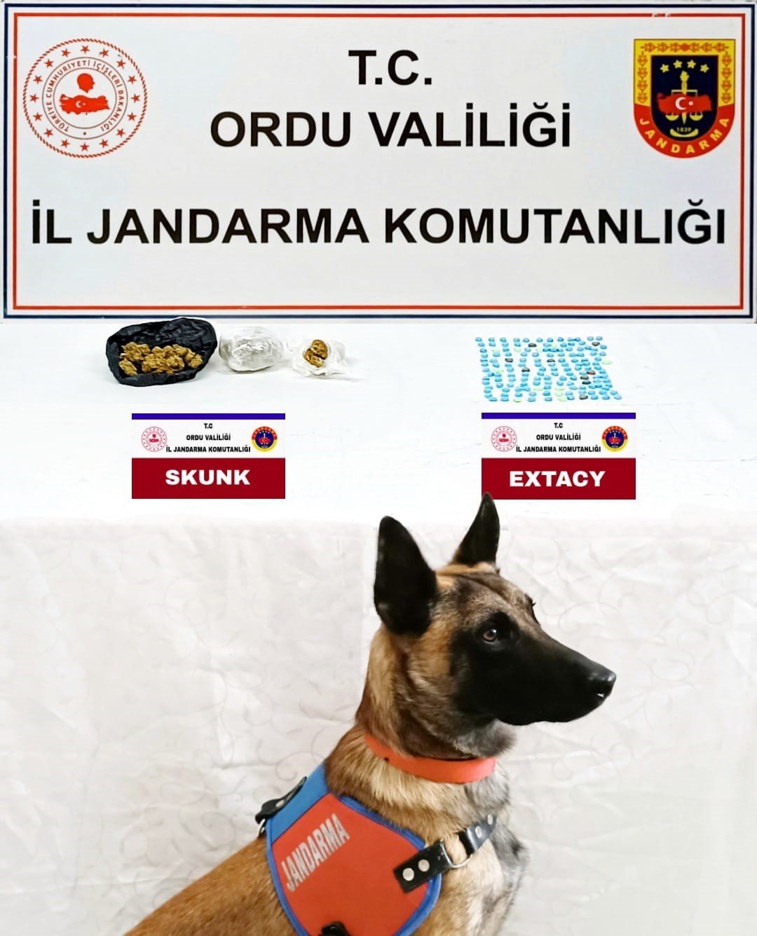 Ordu’da jandarma ekiplerinden uyuşturucu ve kaçak tütün operasyonu