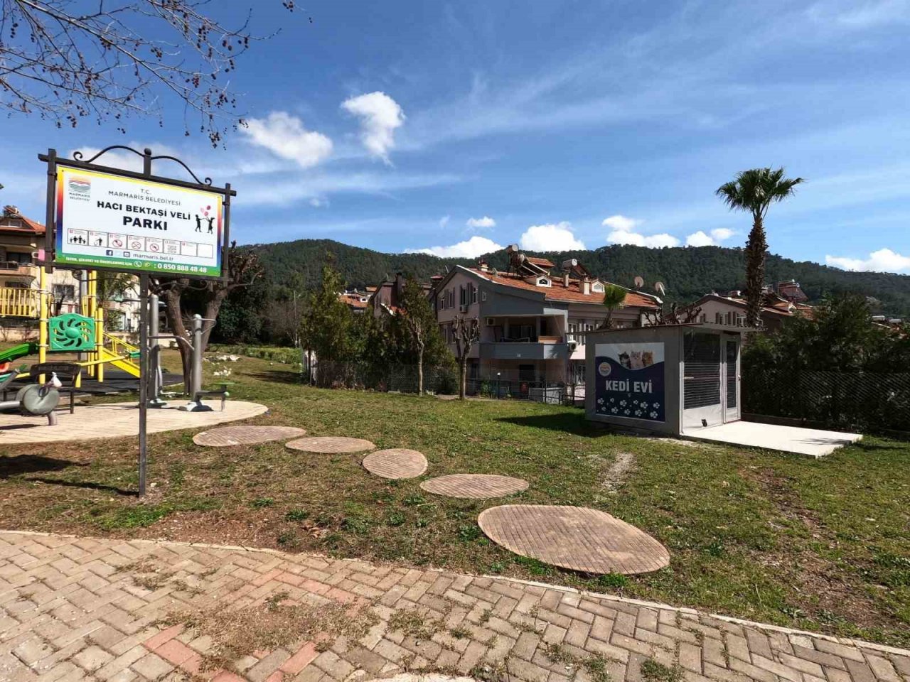 Marmaris Belediyesi’nden kedi evi projesi
