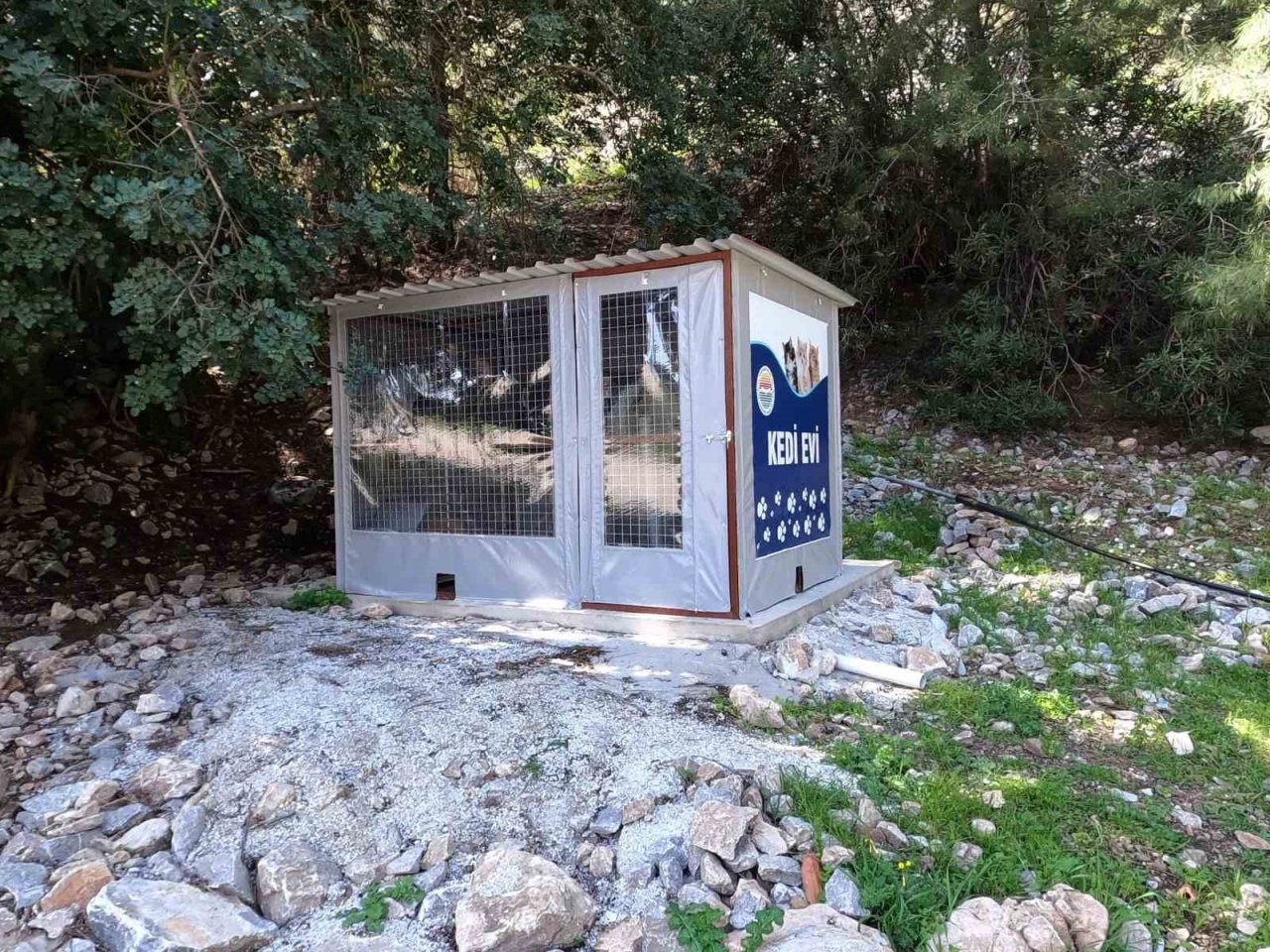 Marmaris Belediyesi’nden kedi evi projesi