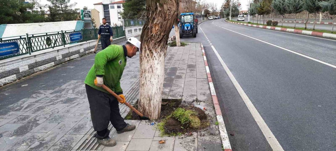 Siirt’te park ve bahçelerde temizlik ve bakım çalışmaları başlatıldı