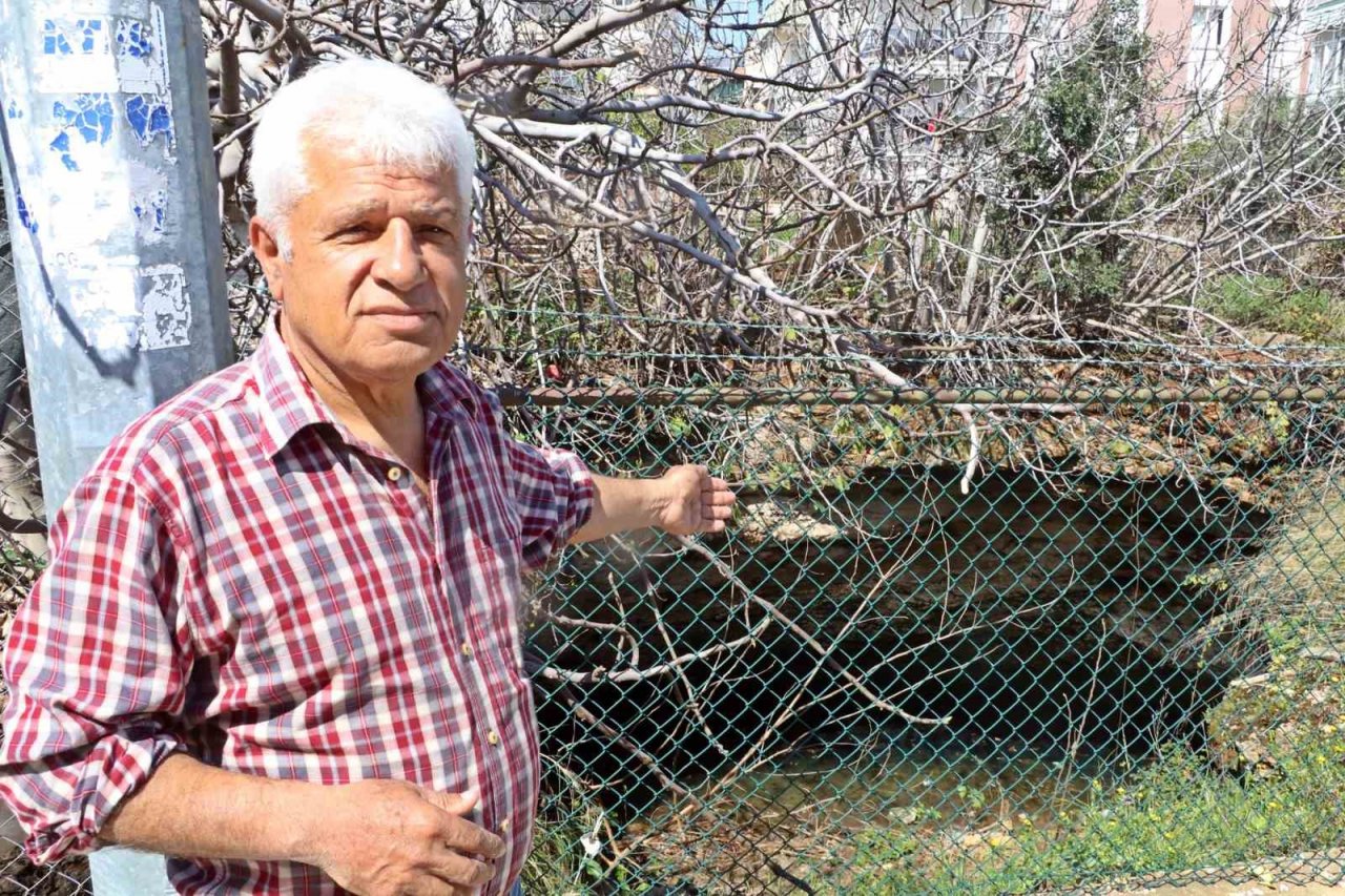 Antalya’nın göbeğinde 35 metre derinlikteki obrukta çok sayıda tatlı su canlısı tespit edildi