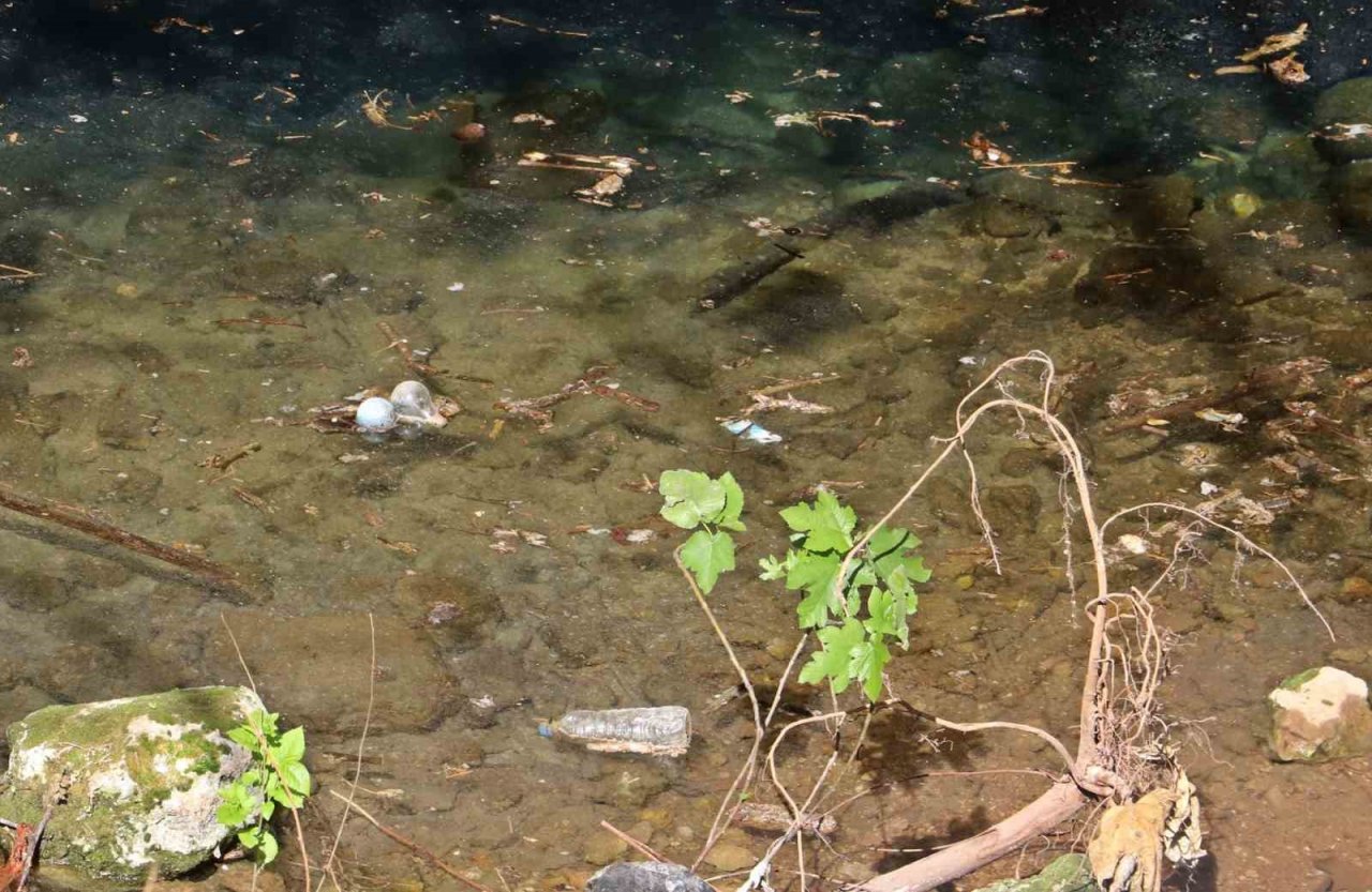 Antalya’nın göbeğinde 35 metre derinlikteki obrukta çok sayıda tatlı su canlısı tespit edildi