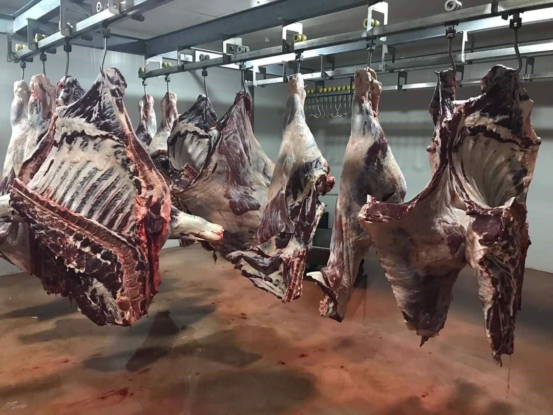 Dinar’dan deprem bölgesine 110 küçükbaş, 4 büyükbaş hayvan bağışlandı