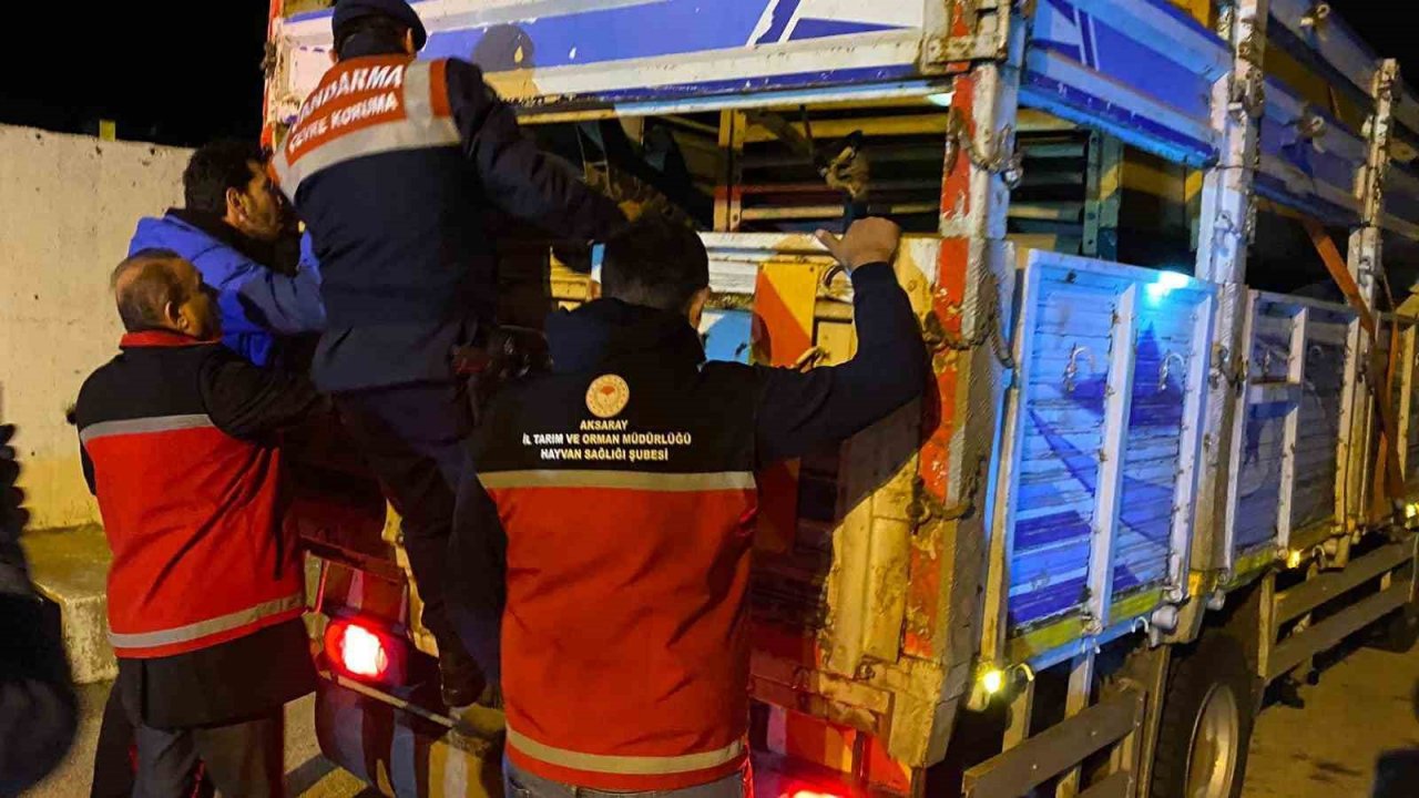 Aksaray jandarması "şap" denetiminde