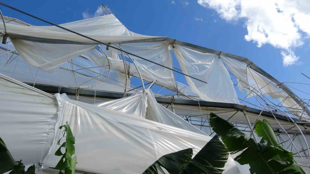 Hortum muz serasını vurdu, 5 dönümlük alan savaş meydanını aratmadı