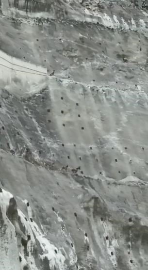 Çoruh havzasında yaban keçileri yer çekimine meydan okuyor