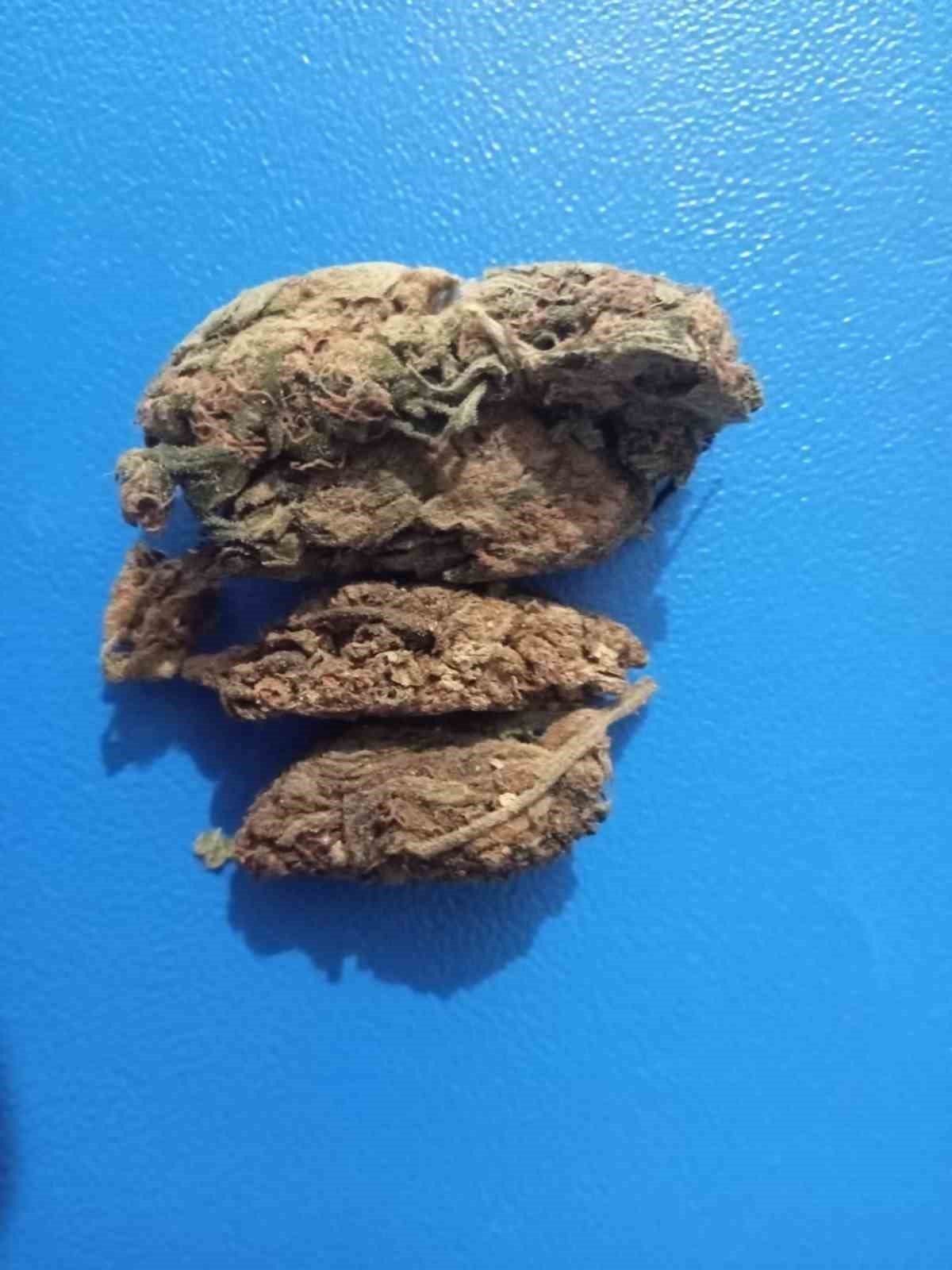 Şüpheli şahıslar uyuşturucuyla yakalandı