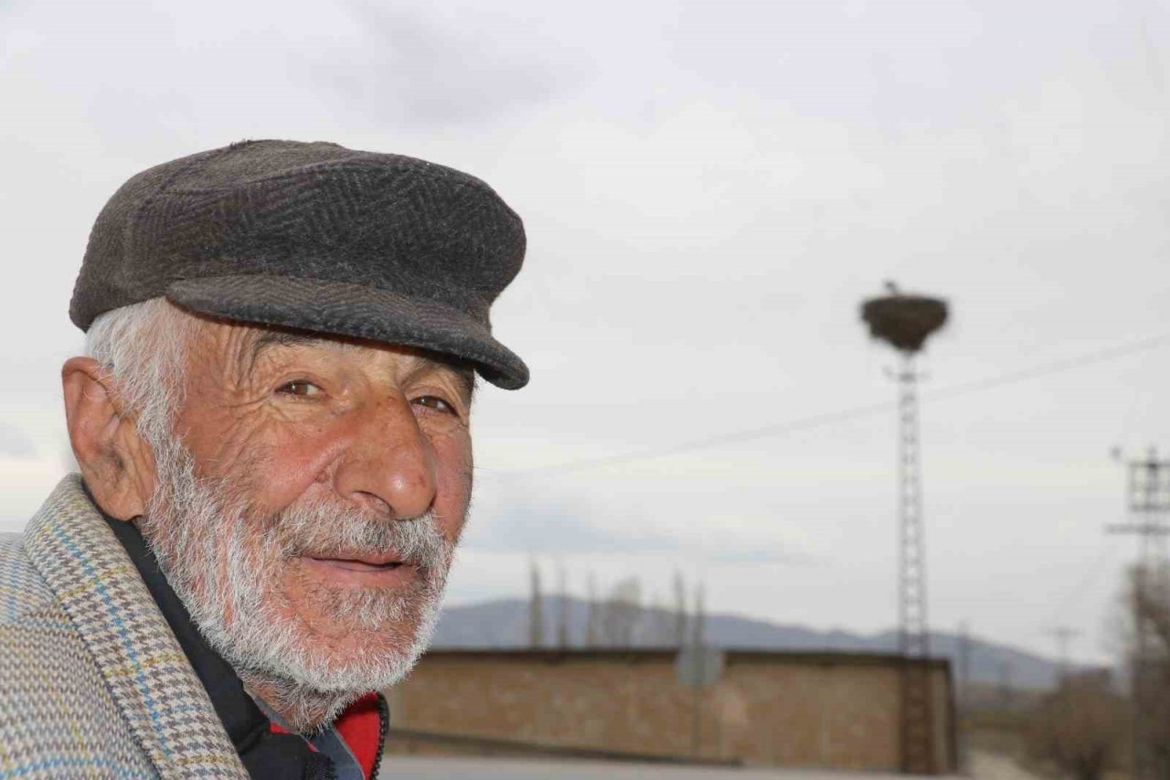 Leyleklerin kafası karıştı