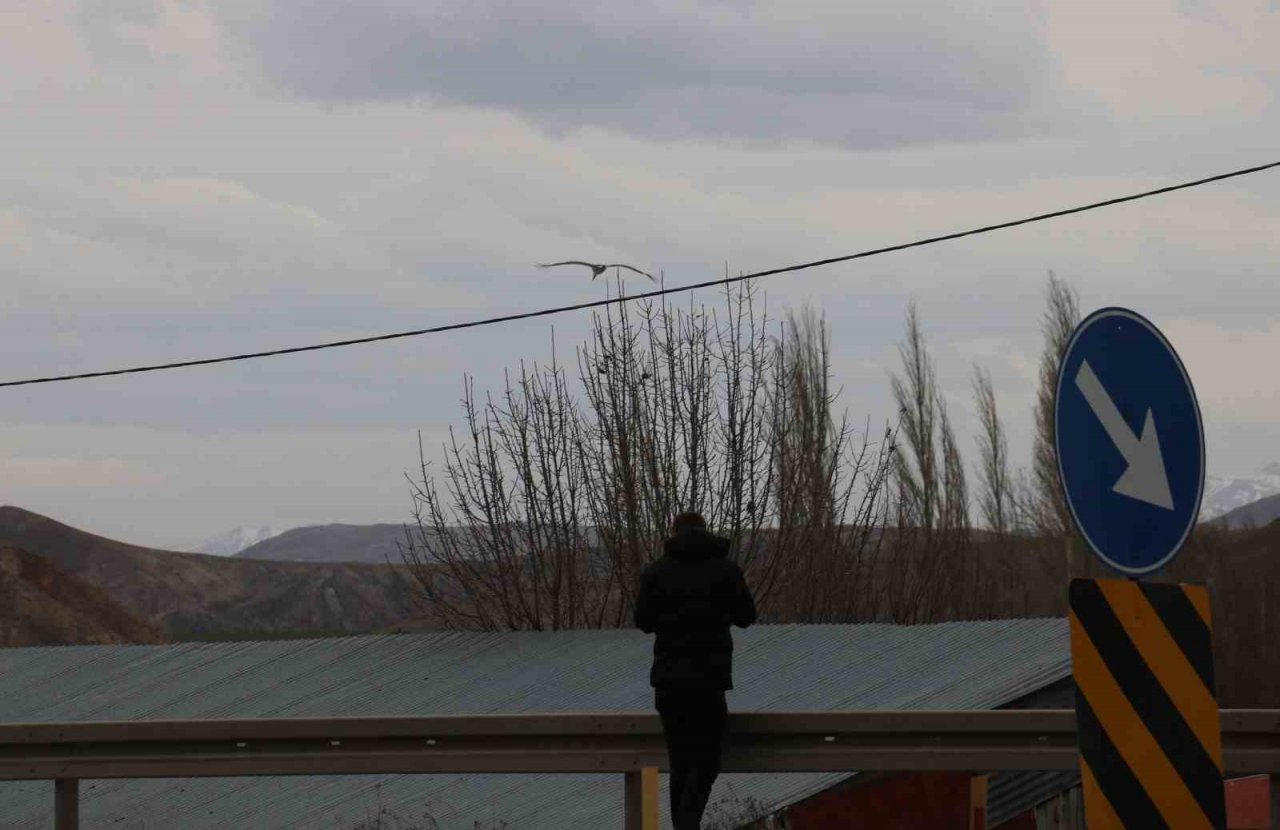 Leyleklerin kafası karıştı