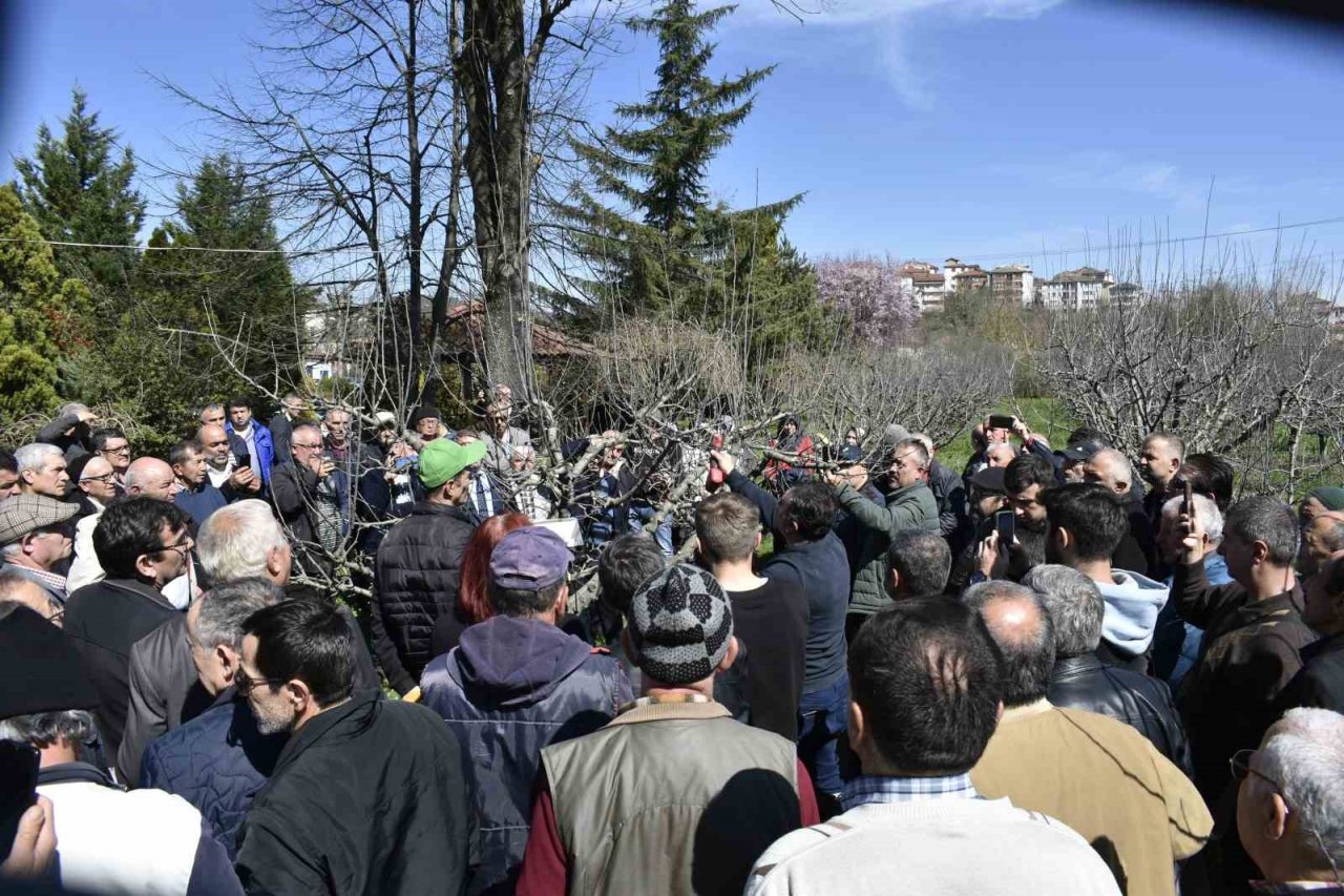 Bartın’da çiftçilere budama eğitimi, doğru verim alma yöntemleri anlatıldı
