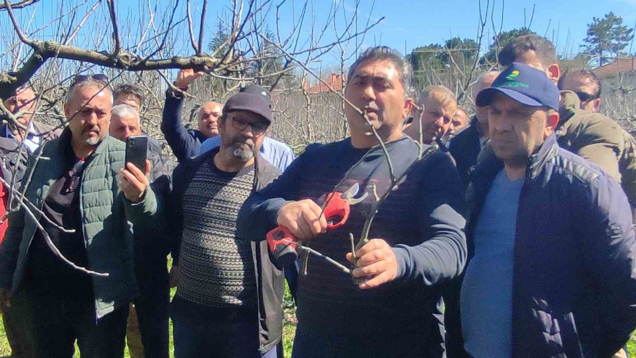 Bartın’da çiftçilere budama eğitimi, doğru verim alma yöntemleri anlatıldı