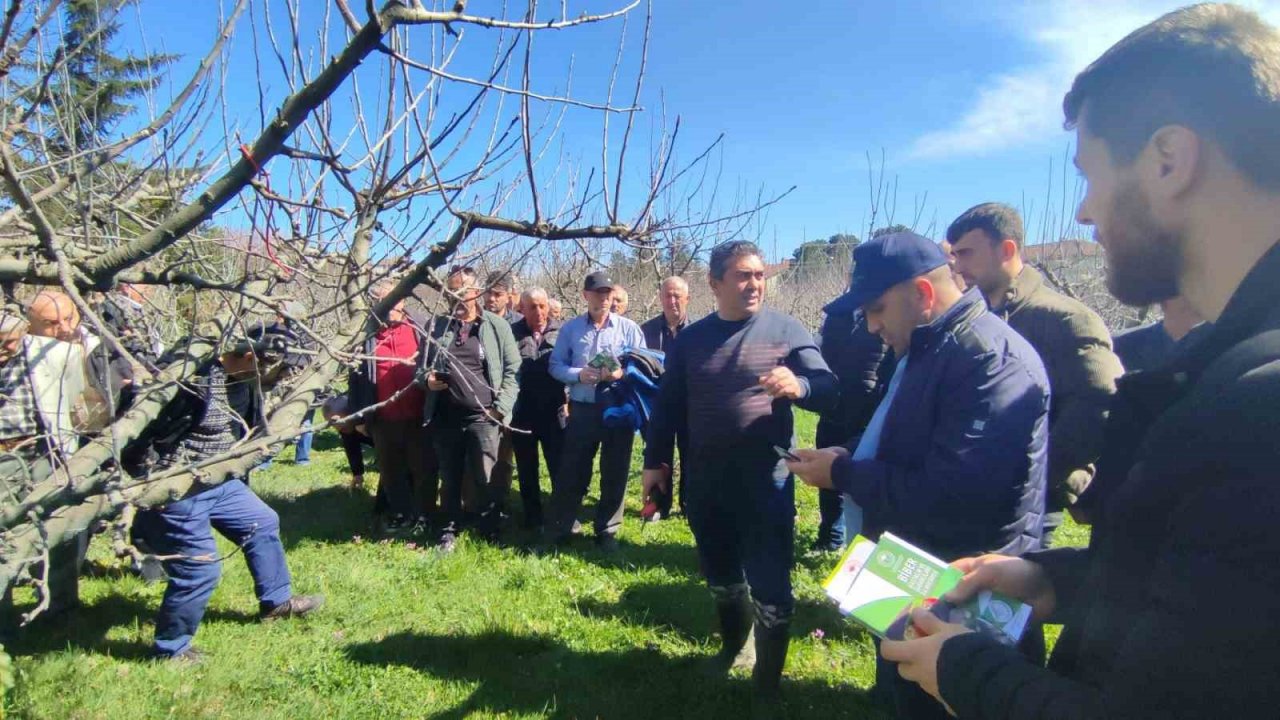 Bartın’da çiftçilere budama eğitimi, doğru verim alma yöntemleri anlatıldı