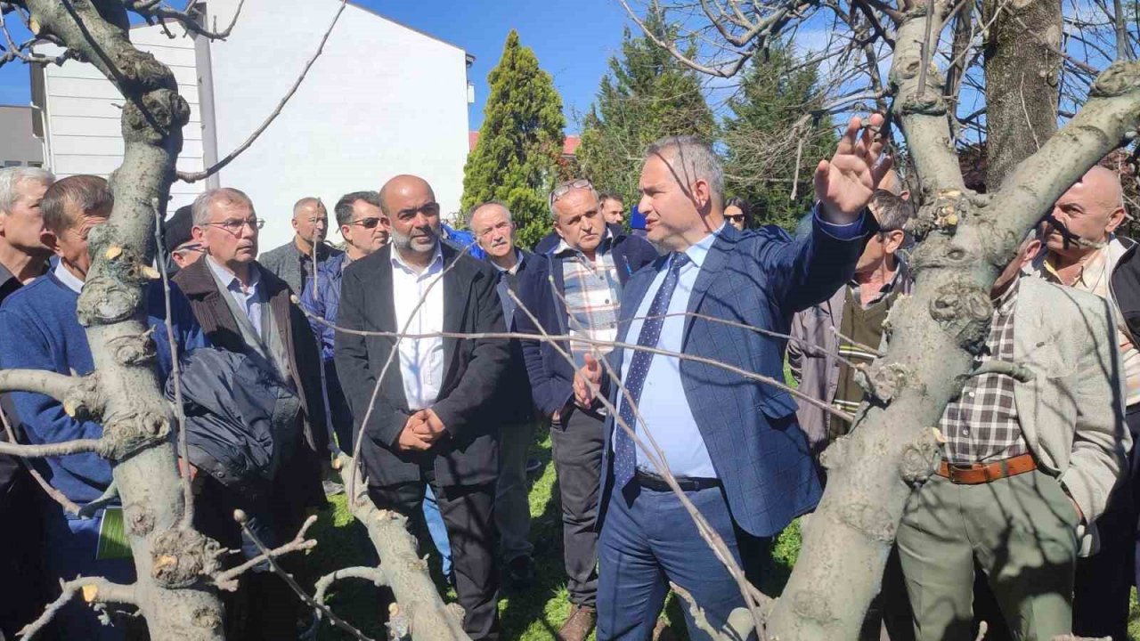 Bartın’da çiftçilere budama eğitimi, doğru verim alma yöntemleri anlatıldı