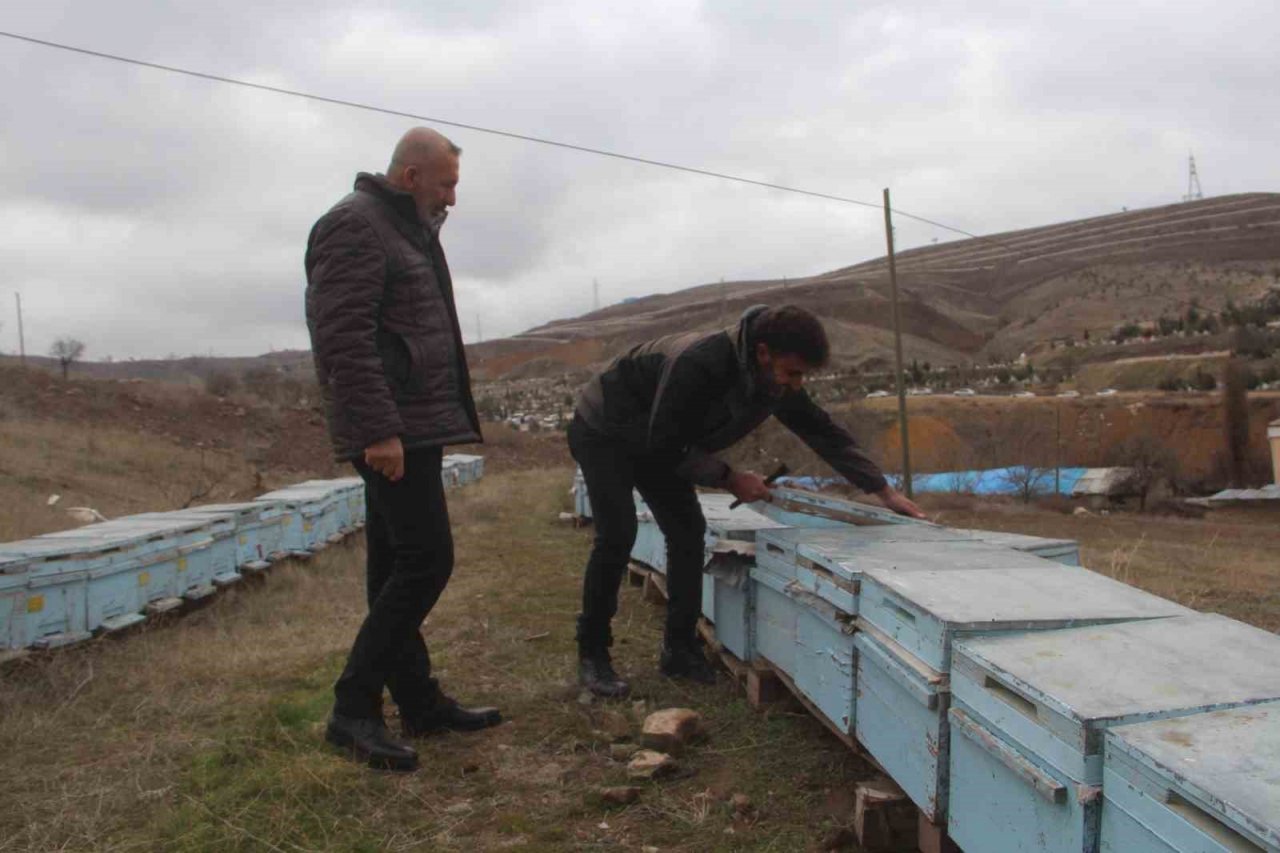 Elazığ Arı Yetiştiricileri Birliği Başkanı Canbay: “Yağışların ileride arıcılar üzerinde olumlu yansıması olacaktır”