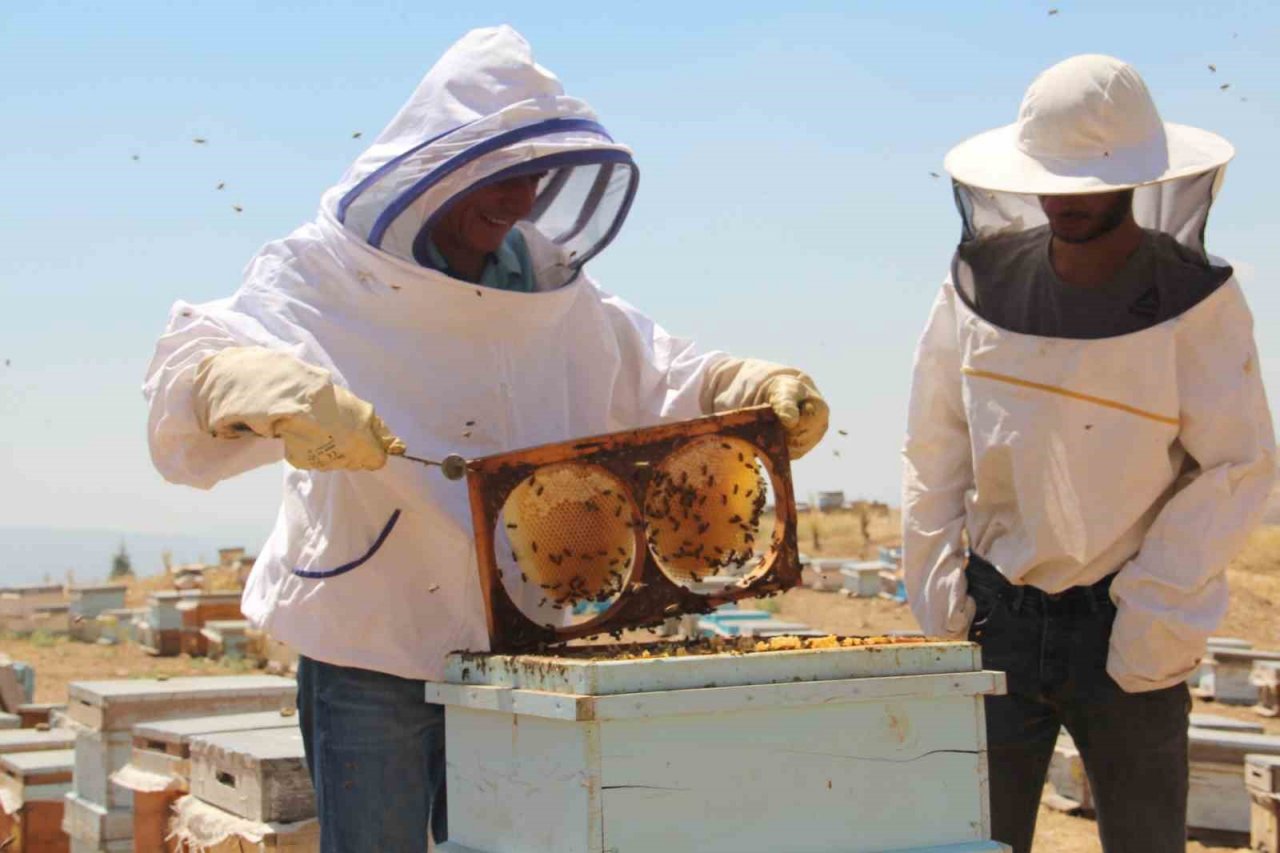 Elazığ Arı Yetiştiricileri Birliği Başkanı Canbay: “Yağışların ileride arıcılar üzerinde olumlu yansıması olacaktır”