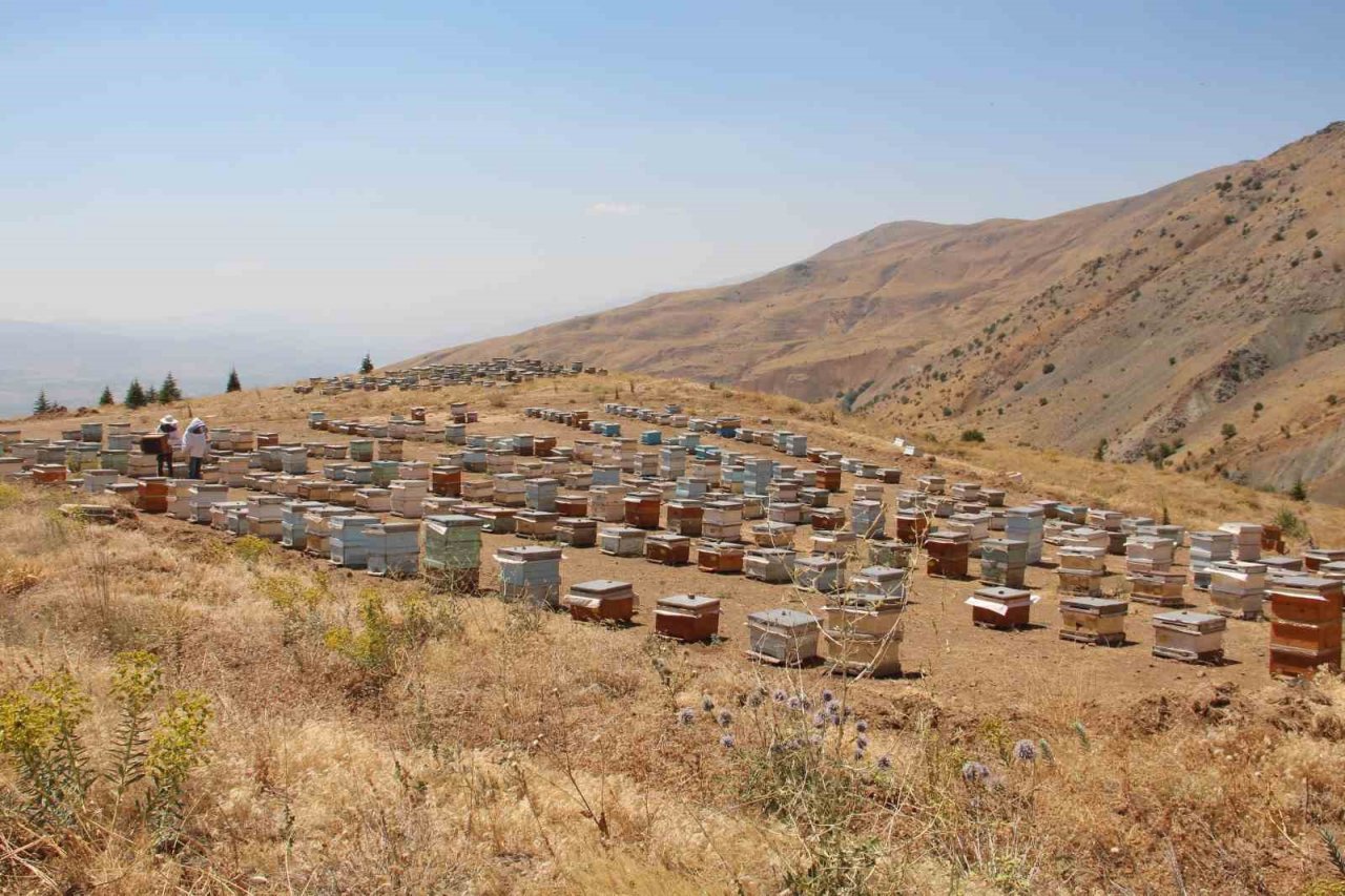 Elazığ Arı Yetiştiricileri Birliği Başkanı Canbay: “Yağışların ileride arıcılar üzerinde olumlu yansıması olacaktır”