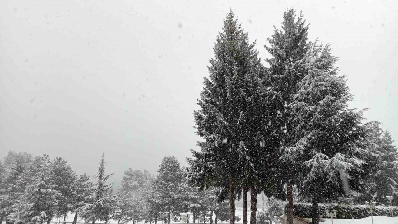 Doğaseverlerin gözdesi Abant’ta mart ayında kar sürprizi