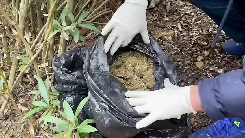 Jandarmanın bağ evine yaptığı operasyonda 11 kilo esrar ele geçirildi