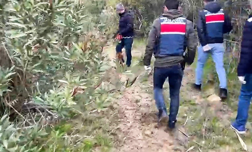 Jandarmanın bağ evine yaptığı operasyonda 11 kilo esrar ele geçirildi