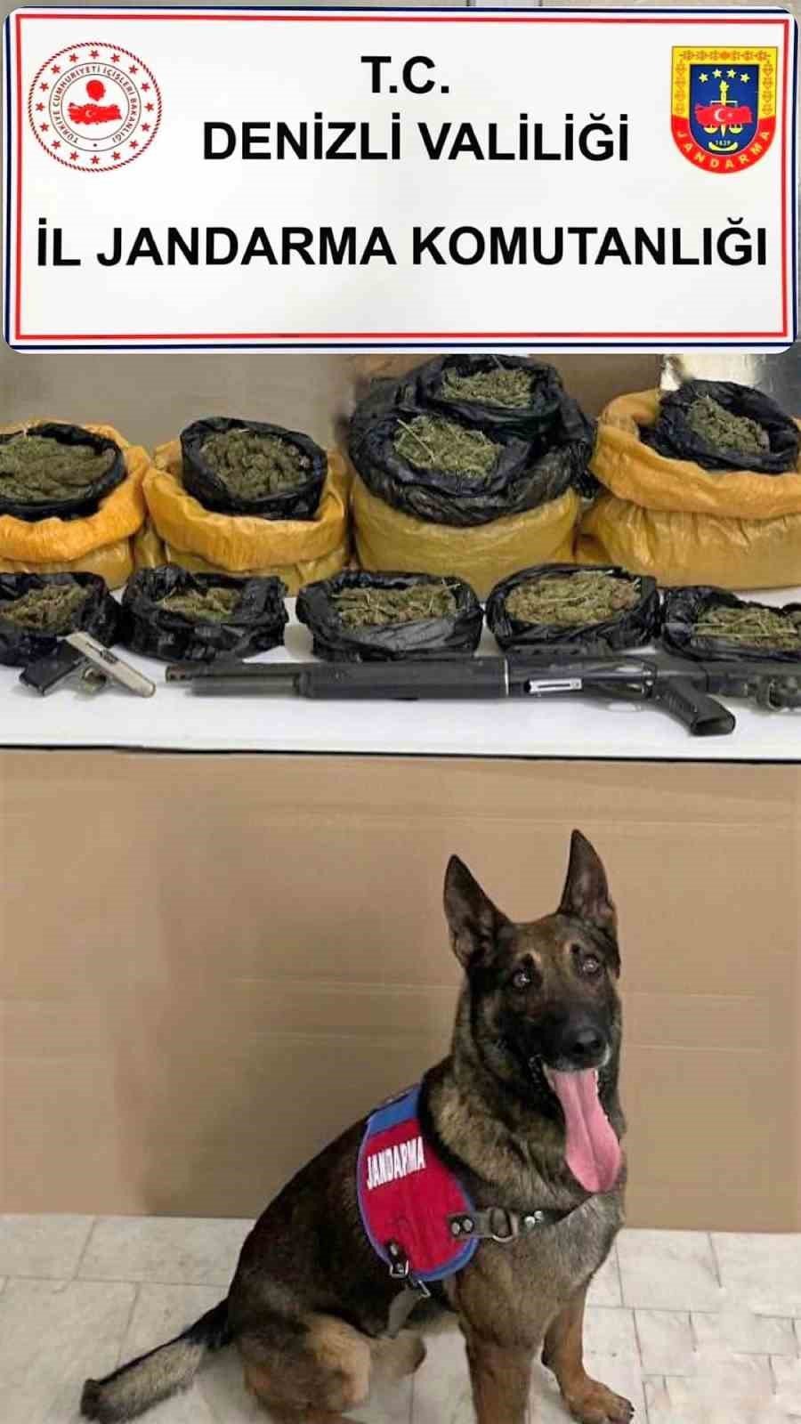 Jandarmanın bağ evine yaptığı operasyonda 11 kilo esrar ele geçirildi
