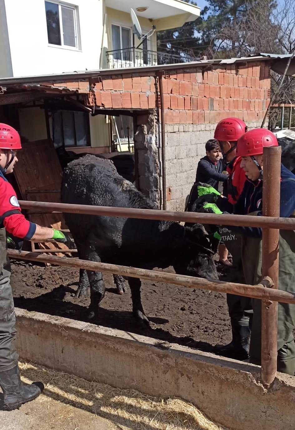 Atık kuyusuna düşen ineği itfaiye kurtardı
