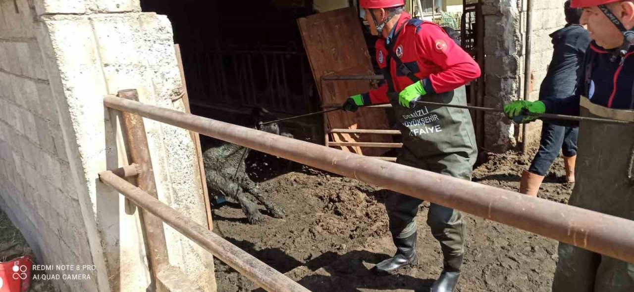 Atık kuyusuna düşen ineği itfaiye kurtardı