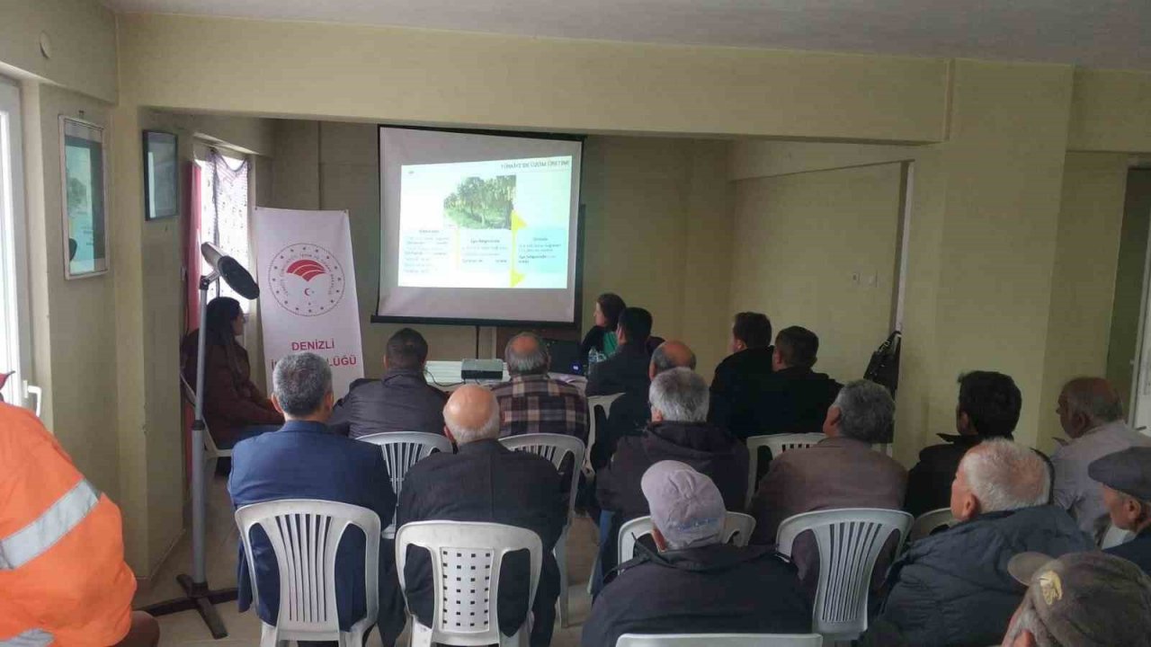 Bağlara zarar veren salkım güvesiyle mücadele sürüyor