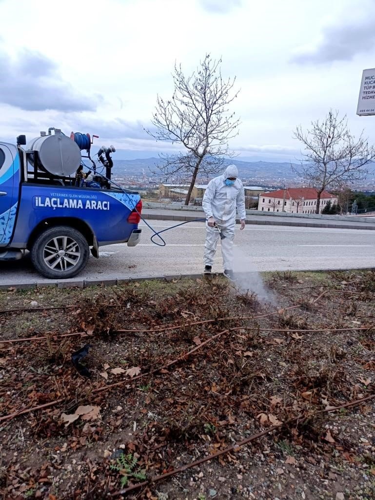 Elazığ’da ilaçlama çalışmaları sürüyor
