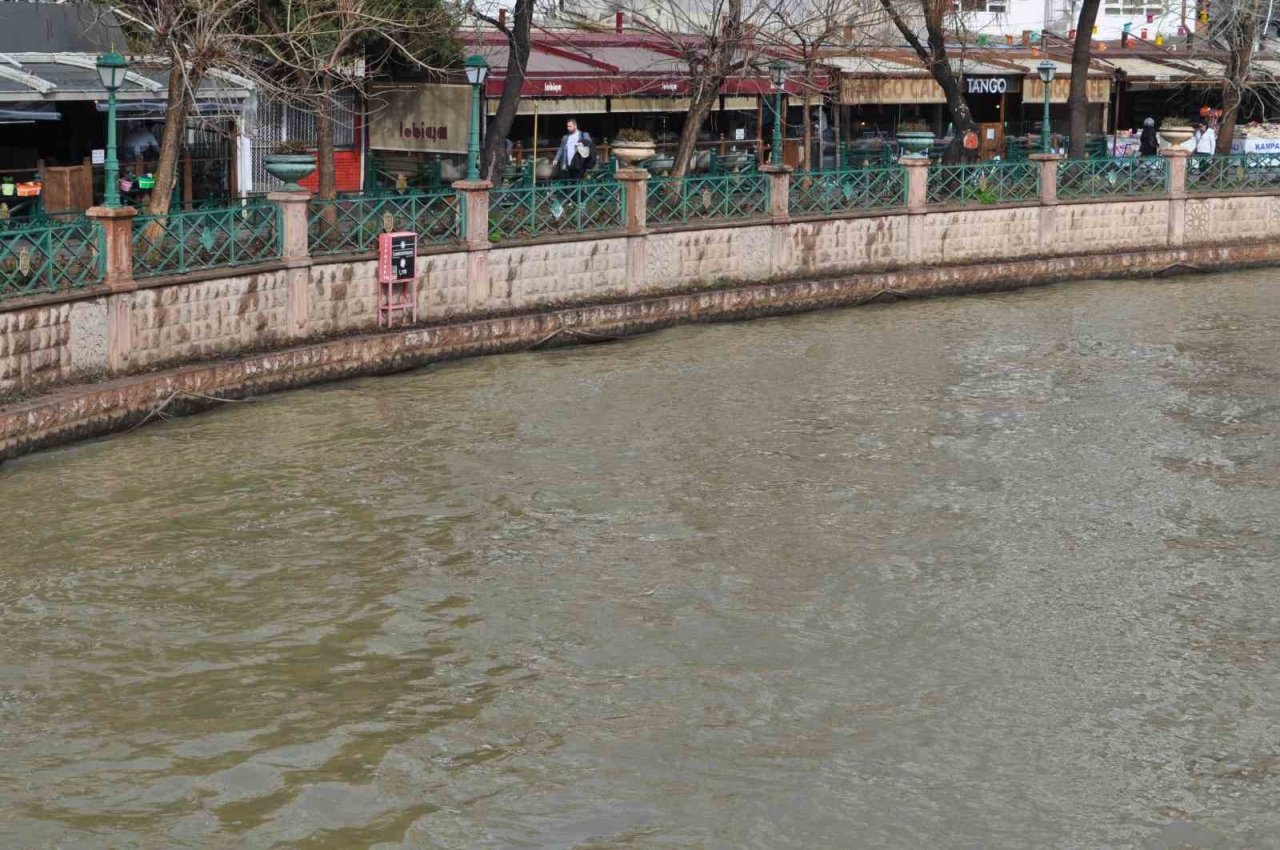 Porsuk kahverengiye büründü