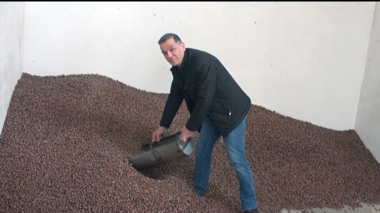 Fındık fiyatı düşüşe geçti