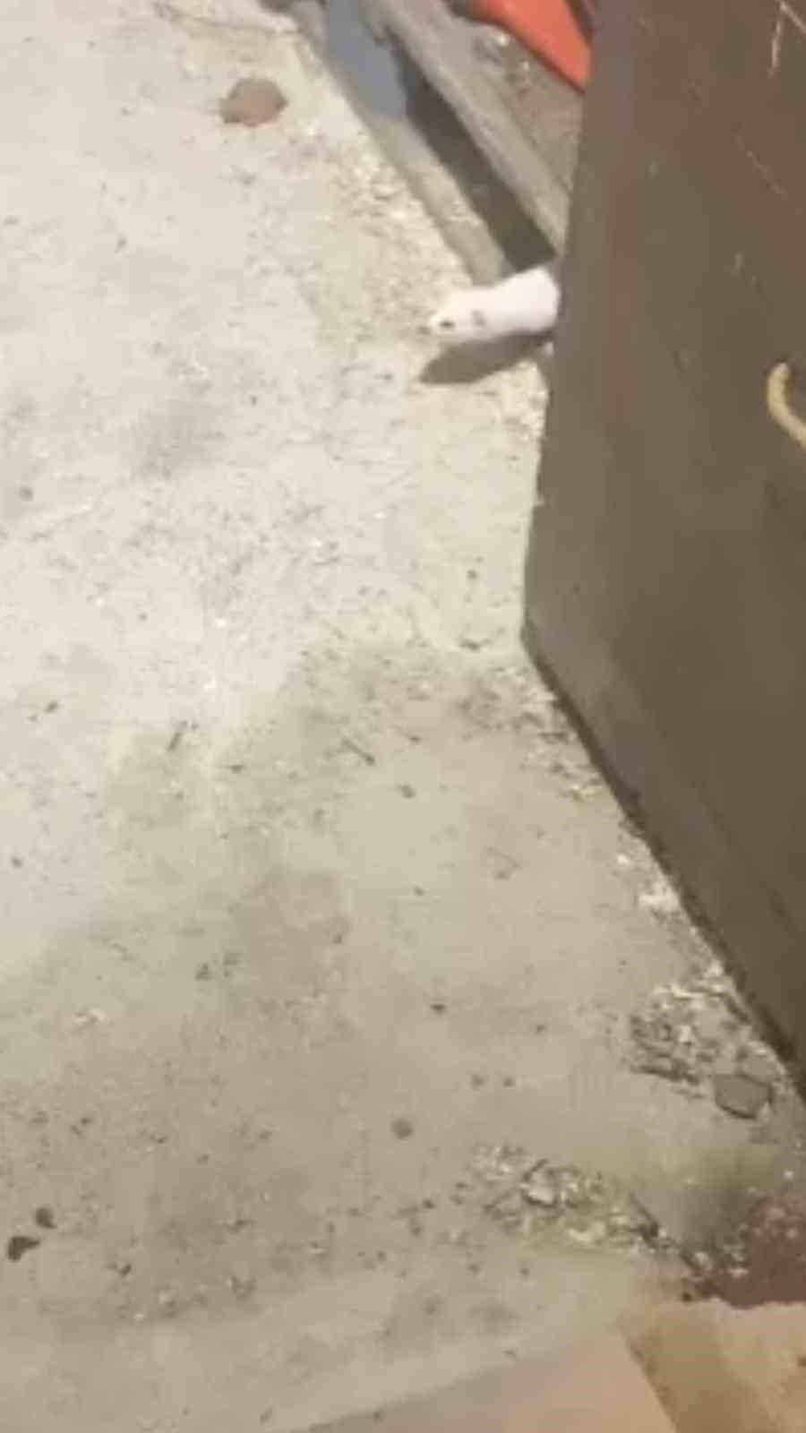 Köy muhtarı Beyaz Gelinciğe gitmemesi için yemek teklif etti