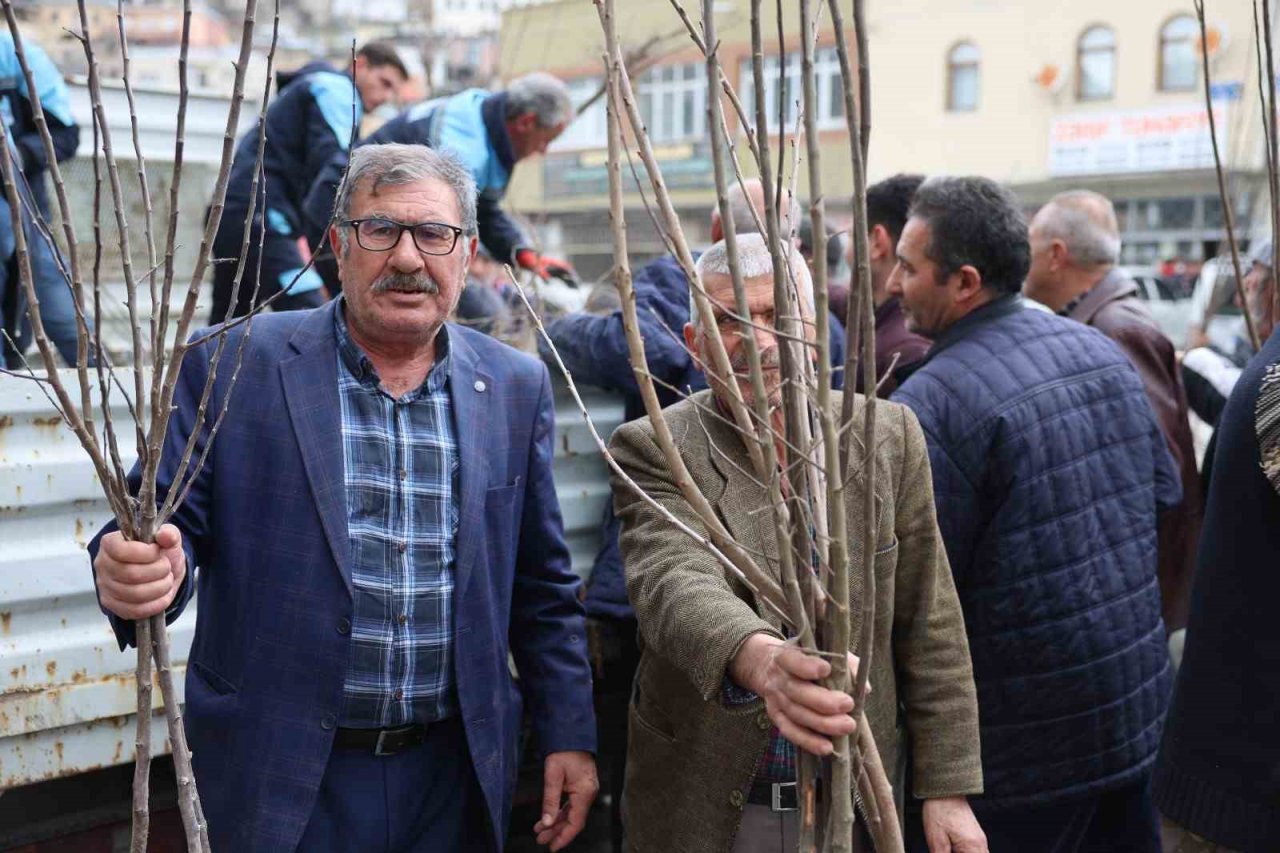 Fidan belediyeden meyve vatandaştan