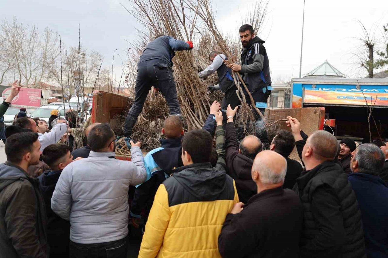 Fidan belediyeden meyve vatandaştan