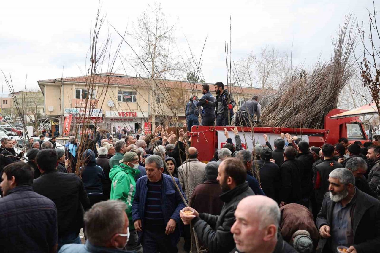 Fidan belediyeden meyve vatandaştan