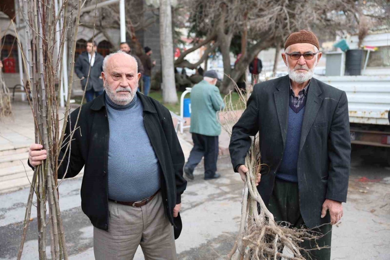 Fidan belediyeden meyve vatandaştan