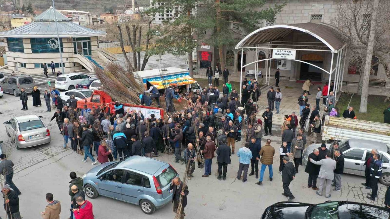 Fidan belediyeden meyve vatandaştan