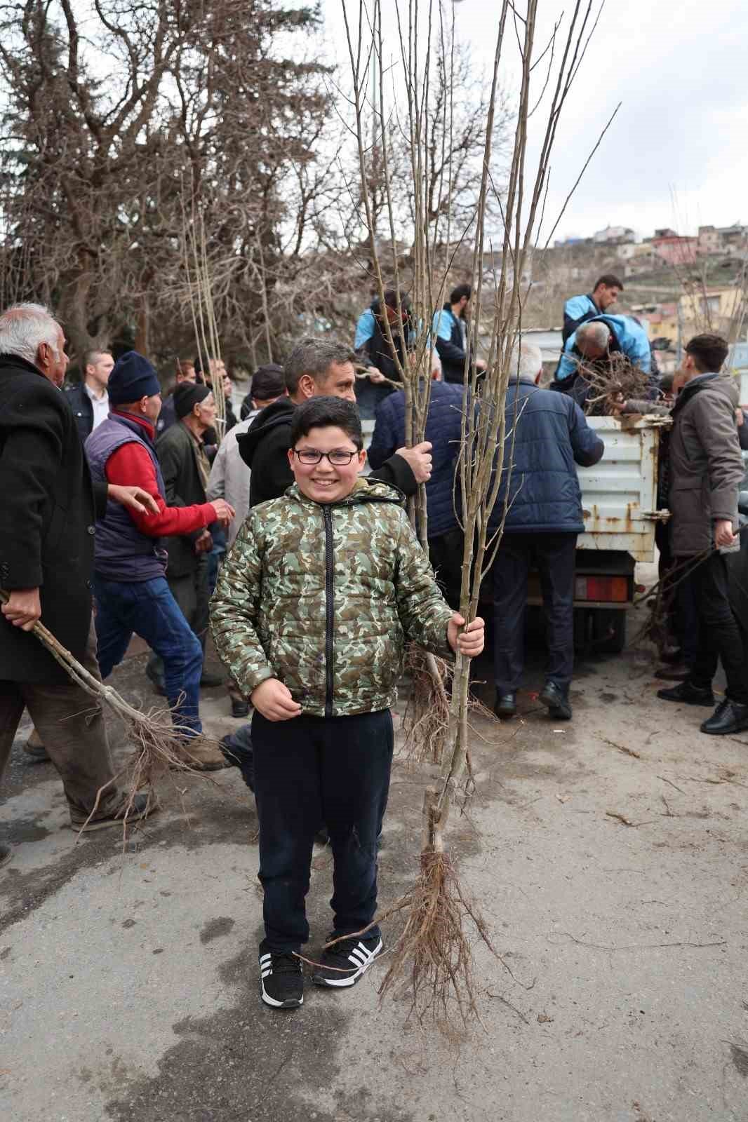 Fidan belediyeden meyve vatandaştan