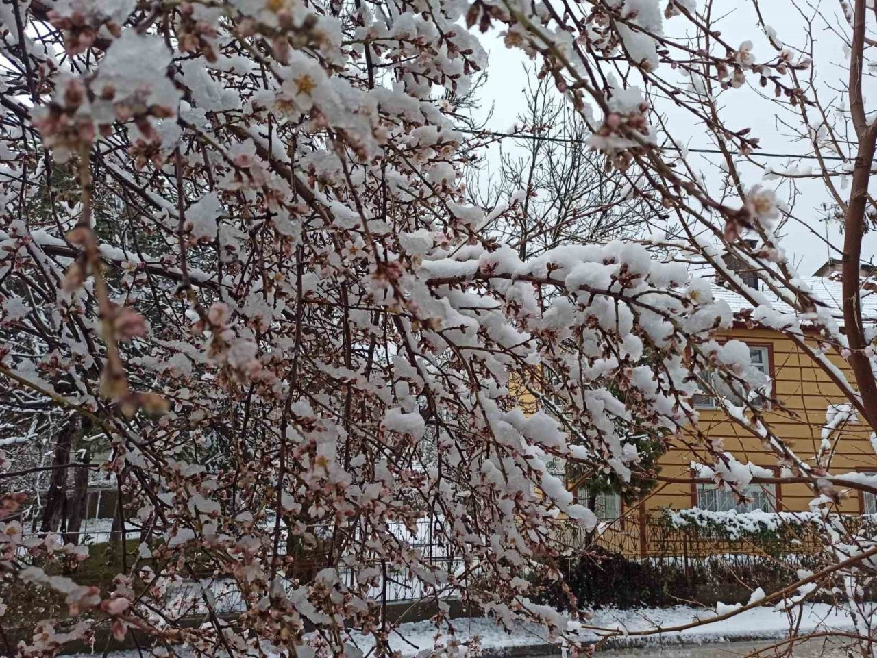 Konya’da Mart ayında kar etkili oldu