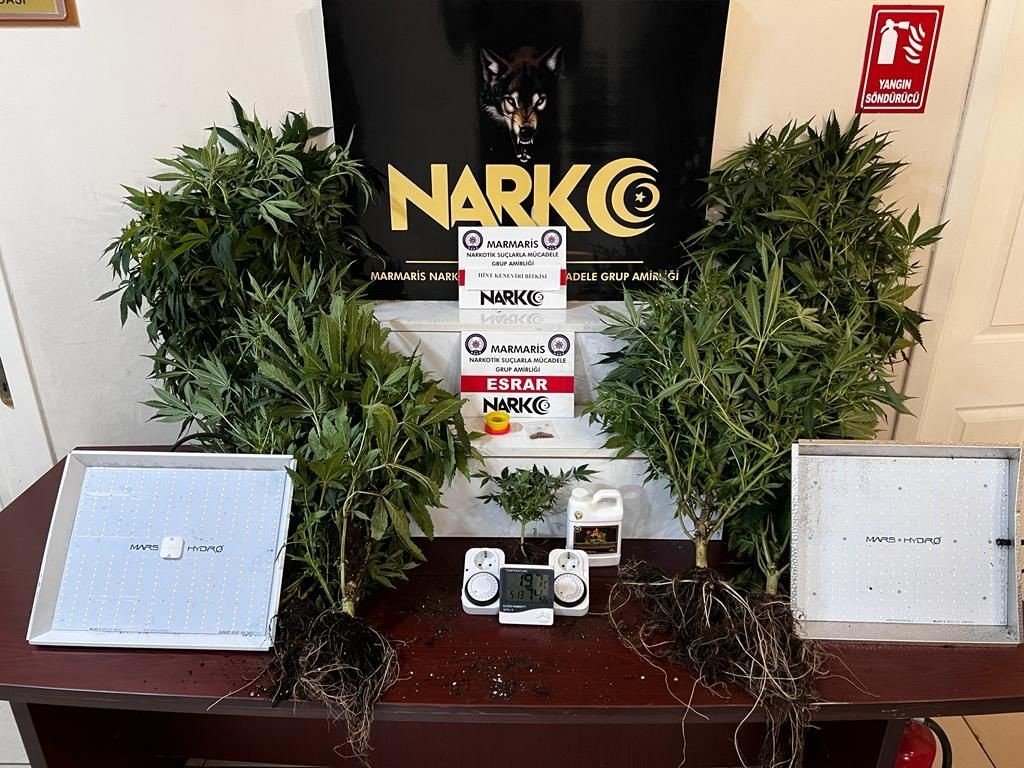 Marmaris’te evinde uyuşturucu yetiştiren şahıs yakalandı